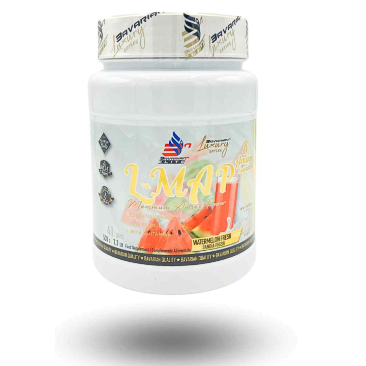 L MAP con Glutamina (500g)
